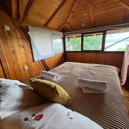 Gruzanski Biser * Knic