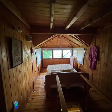 Gruzanski Biser Knic